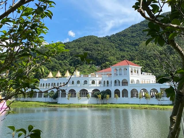 Lake Egret - Image 1