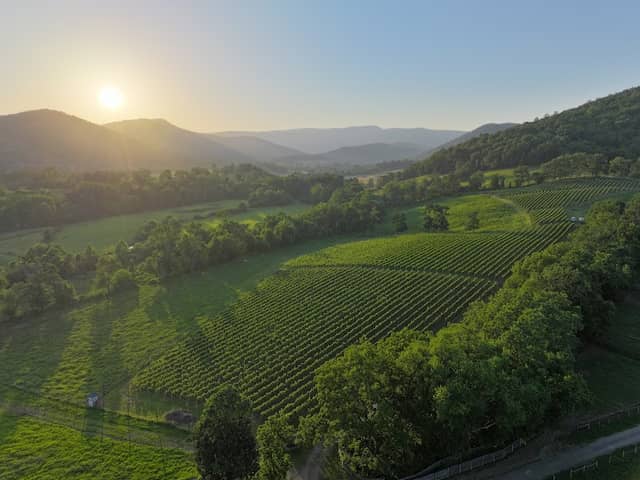 Quièvremont Vineyard & Winery - Image 2
