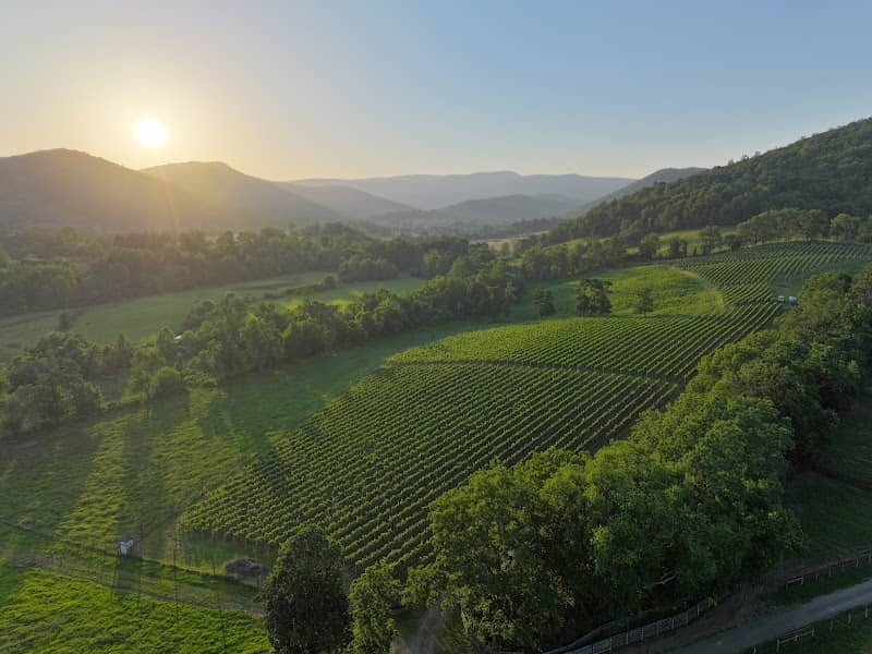 Quièvremont Vineyard & Winery - Image 2