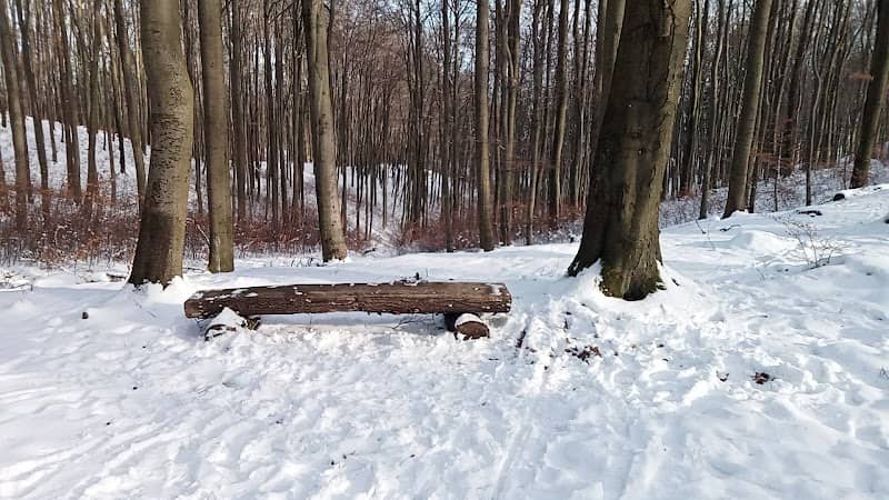 Bench on the yellow trail - Image 2