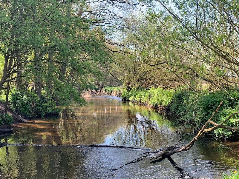 Spa ponds Forest town - Image 2
