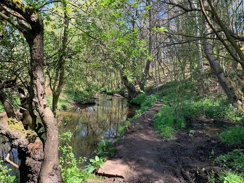 Spa ponds Forest town - Image 1