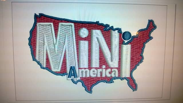 Mini America Development, LLC - Image 1