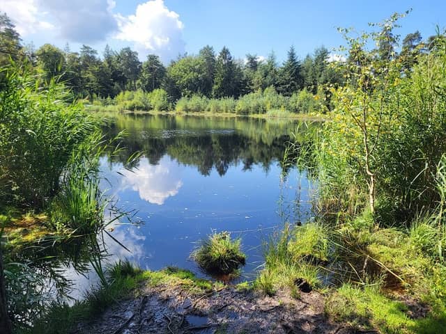 Het Veen Enschede B.V. - Image 1
