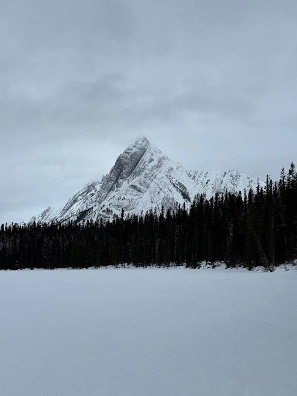 Mount Shark Cross Country Ski Trails - Image 2