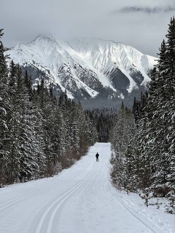 Mount Shark Cross Country Ski Trails - Image 1