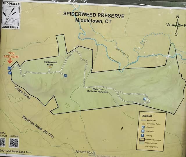 Spiderweed Preserve - Image 1