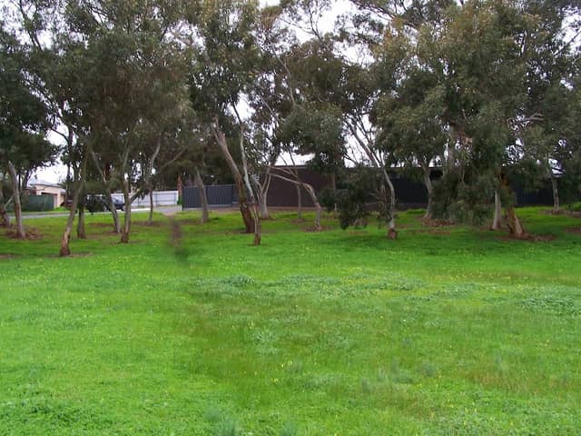 Dale Reserve - Image 2