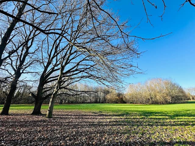 Redhall Open Space (Big Park) Hatfield - Image 1