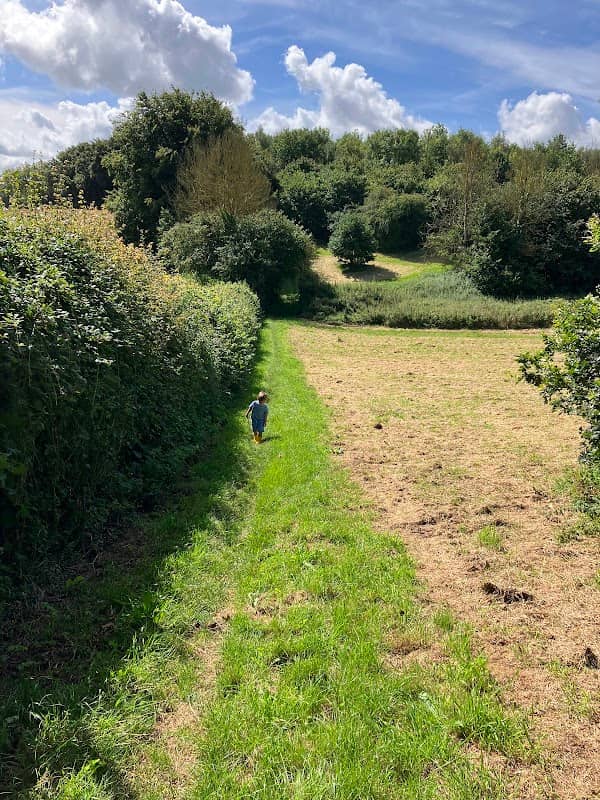 Cross Land Wood - Image 1