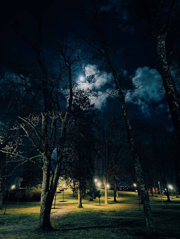 Vabaduse park - Image 1