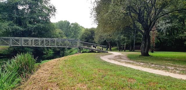 Parque de Lazer de Lordelo - Image 2