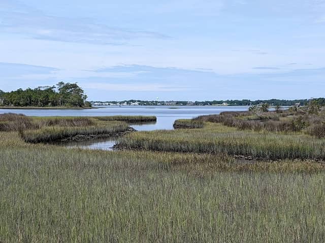 Cedar Point Tideland Trail - Image 1