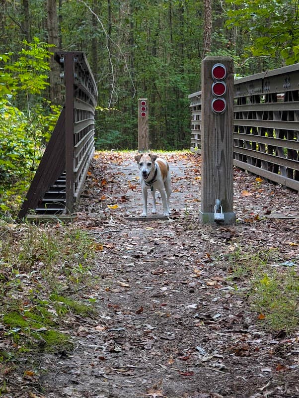 Black Bear Trail Bridge 1 - Image 1