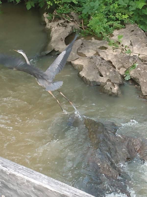 Rock Springs Park - Image 2