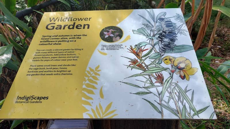 Redlands Indigiscapes Centre Botanic Gardens - Image 2