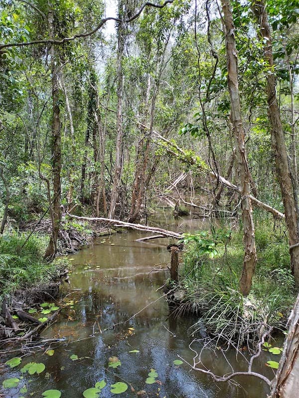 Redlands Indigiscapes Centre Botanic Gardens - Image 1