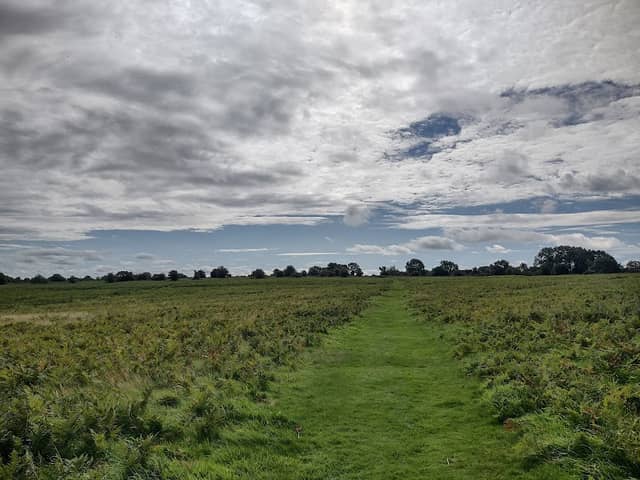 Felton Common - Image 1