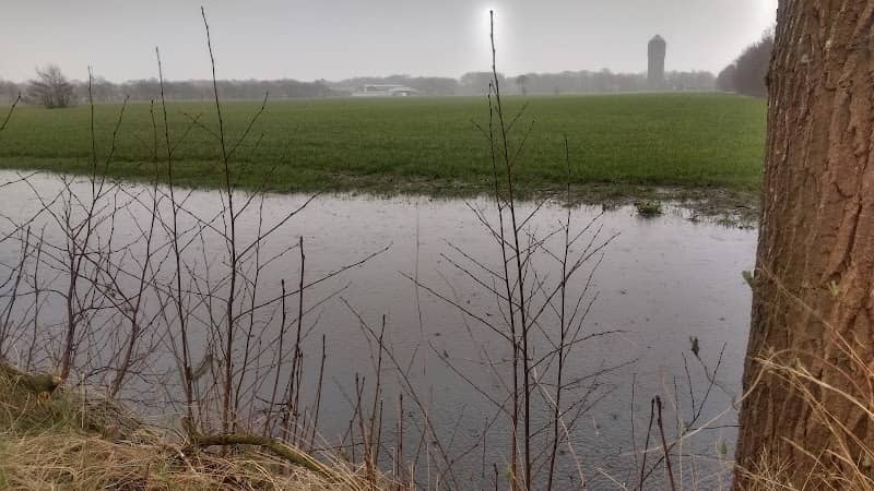 Liphústerheide - Image 1