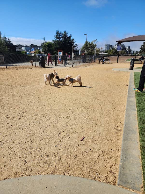 Centennial Dog Park - Image 1