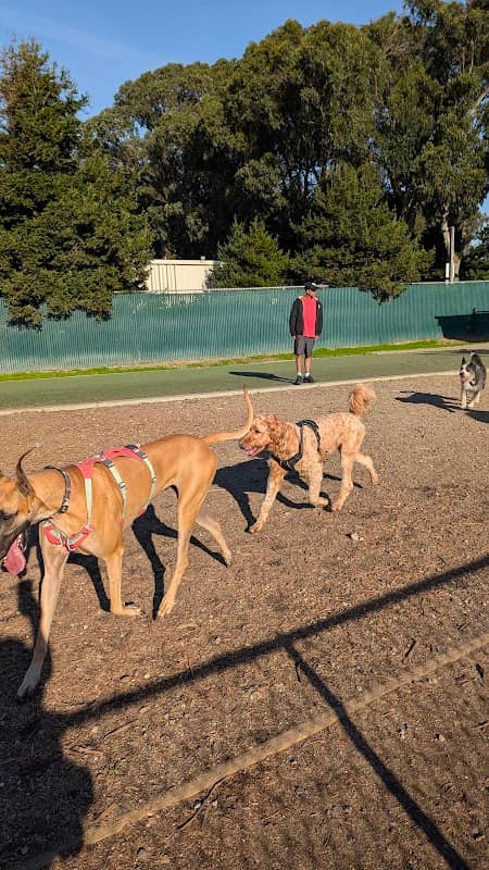 Centennial Dog Park - Image 2