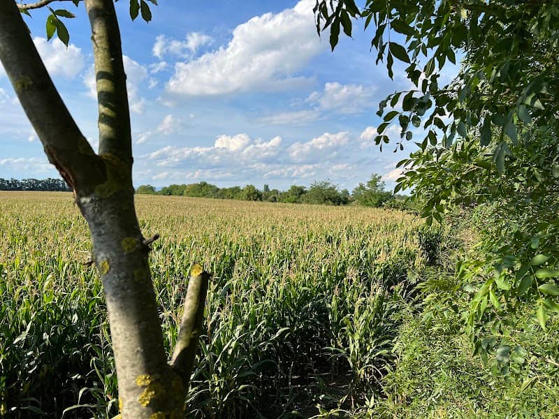 Lavička pokoja - Image 2
