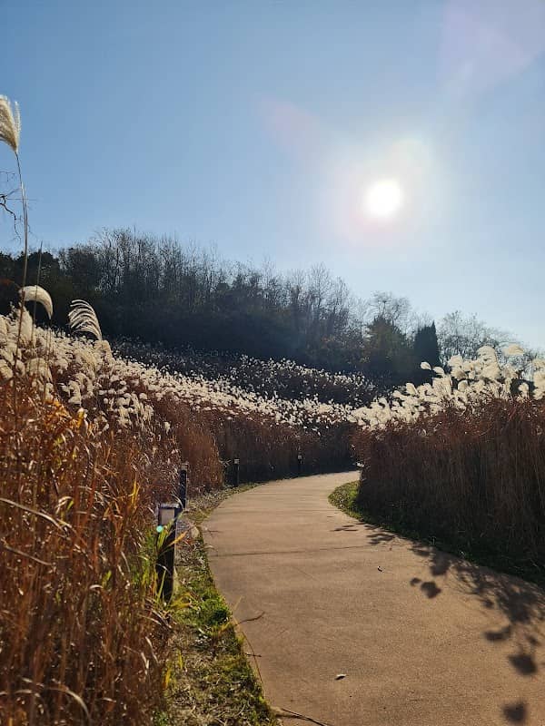 OIDO farms, South Korea - Image 1