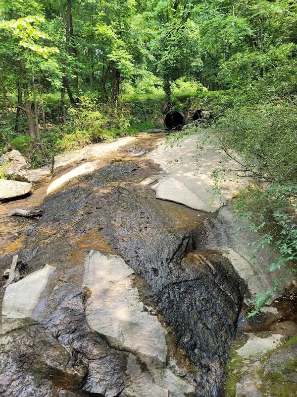 Sanford Creek Greenway - Image 2