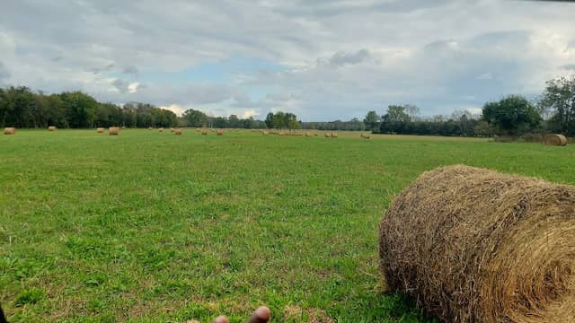 Nepoleon Farms - Image 2