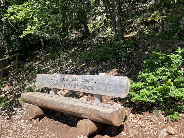 Banc avec vue - Image 1