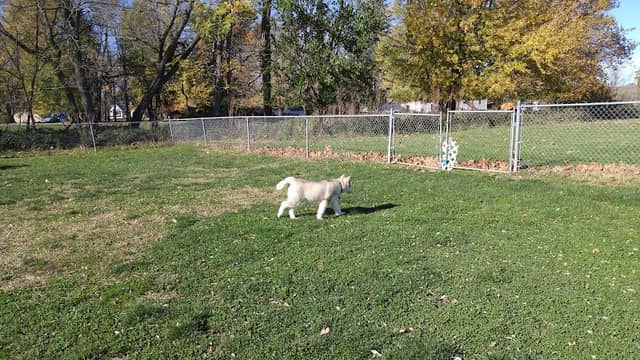 Woodland Park - Image 2