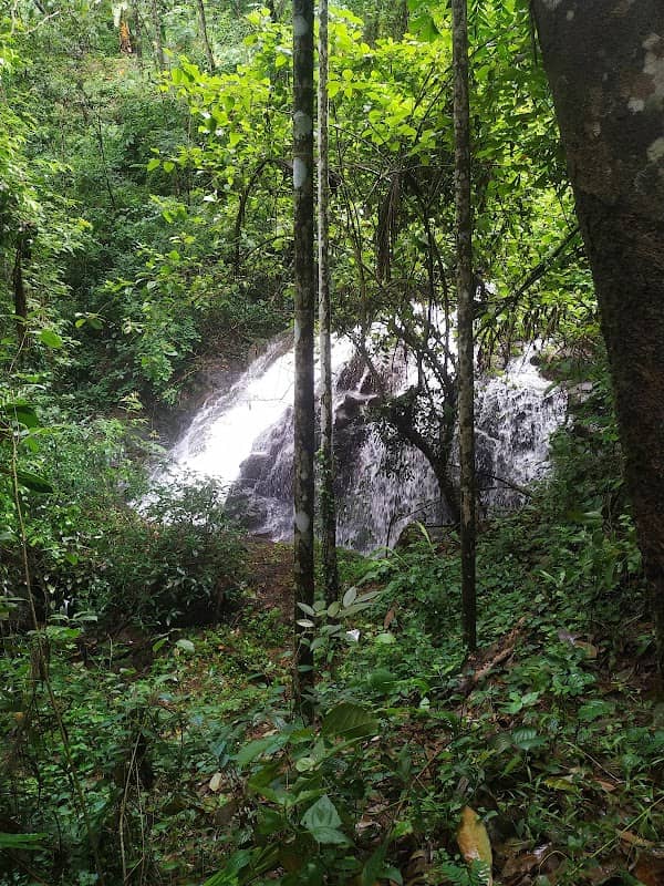 Vellora Waterfall (വെള്ളോറ വെള്ളച്ചാട്ടം ) - Image 1