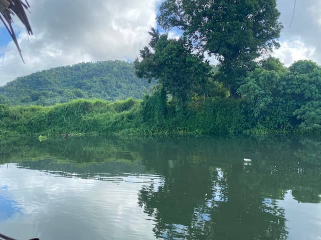 Dao Waterlily Park - Image 2