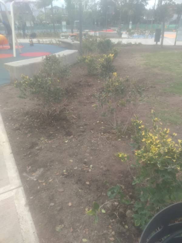 Plaza malvinas Argentinas - Image 2