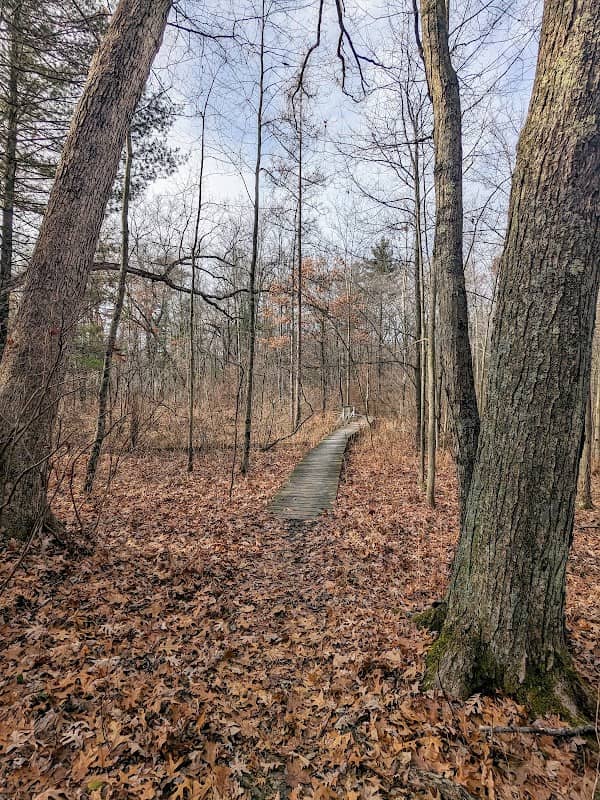 Ionia State Recreation Area - Image 1