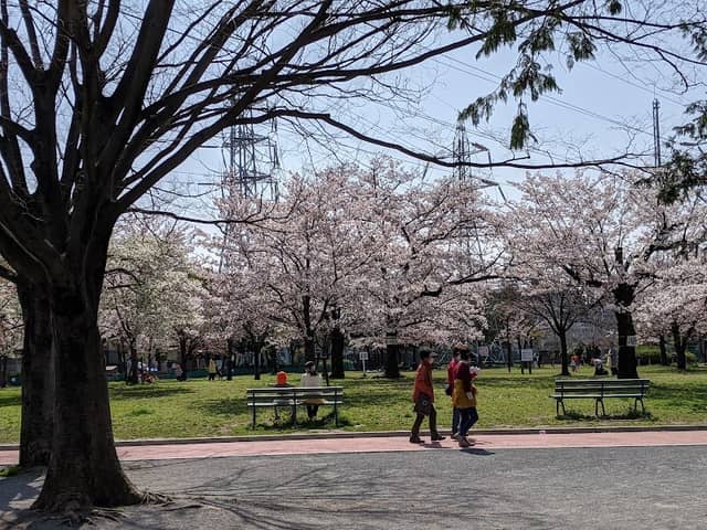 Hitotsuya Daiichi Park - Image 2