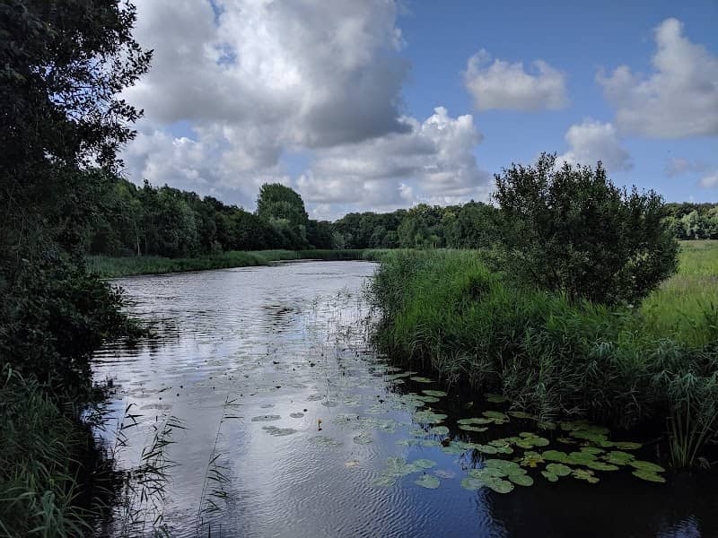 Hertenkamp Meijendel - Image 3