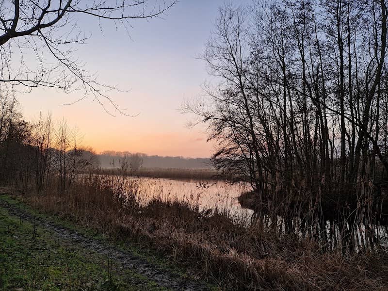 Hertenkamp Meijendel - Image 2