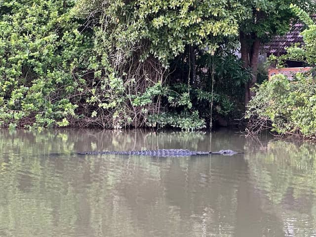 Nilwala Crocodile Safari Matara - Image 1