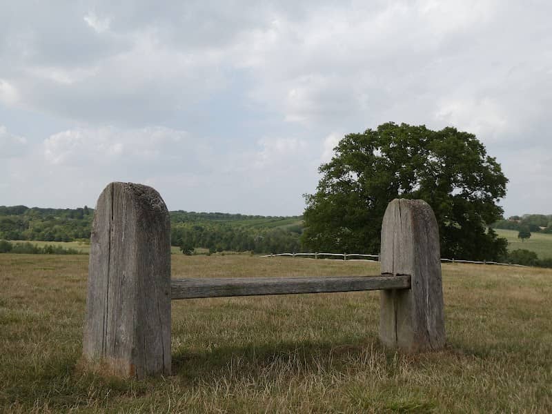 Sky Meadow - Image 1