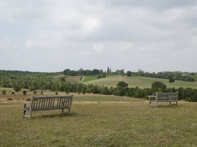 Sky Meadow - Image 2