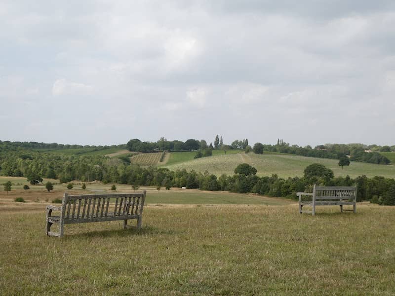 Sky Meadow - Image 2