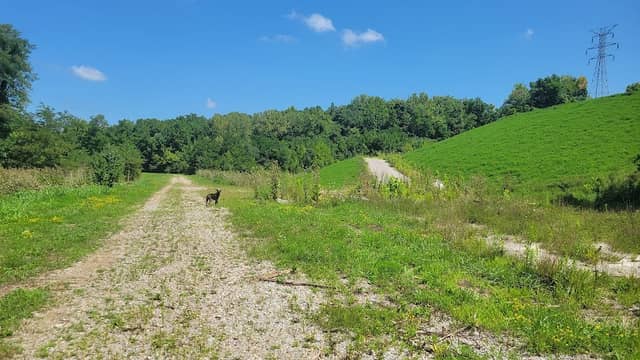 Richardson Forest Preserve Trail - Image 2
