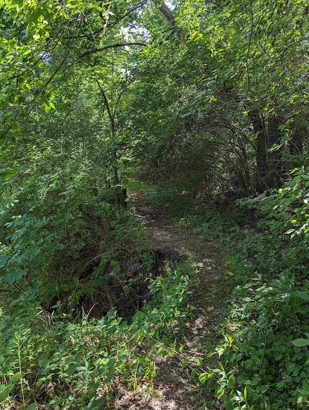 Richardson Forest Preserve Trail - Image 1