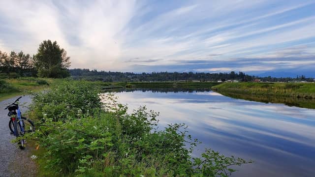 Serpentine Fen - Image 2