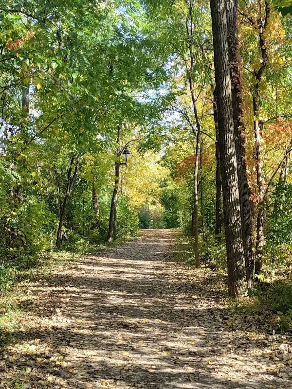 Central Park - Image 1