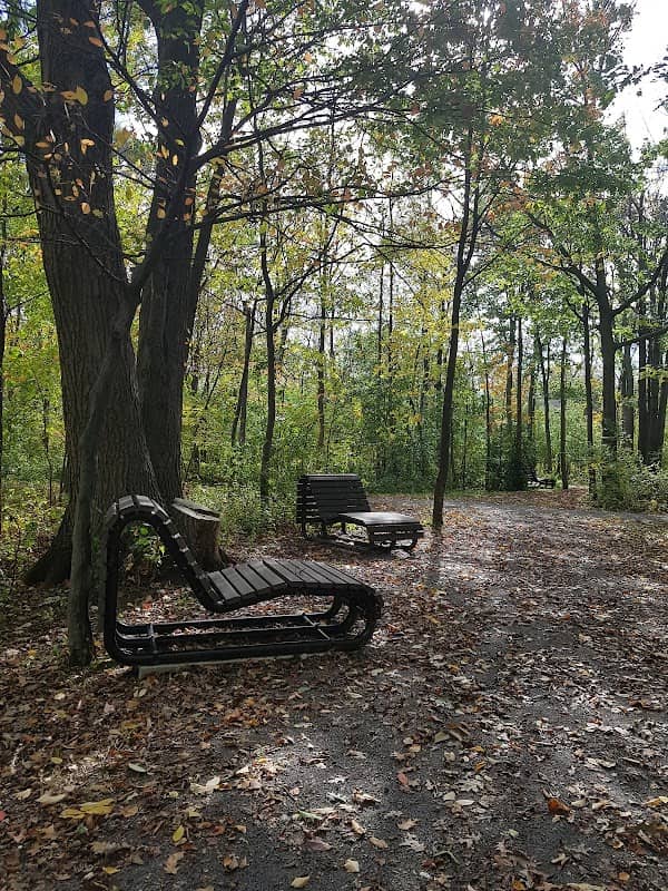 Central Park - Image 2
