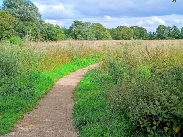 Loddon Reserve - Image 2