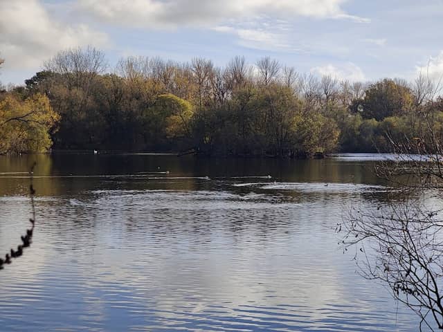 Loddon Reserve - Image 1
