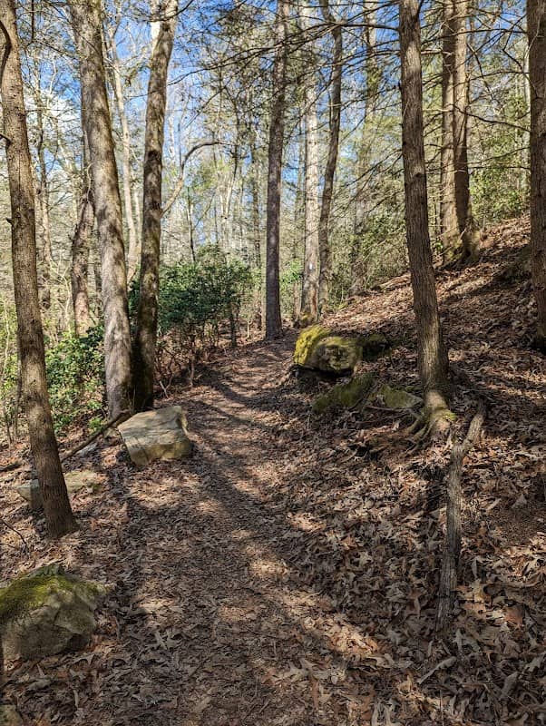 Trailhead for Maryetta Trail - Image 1